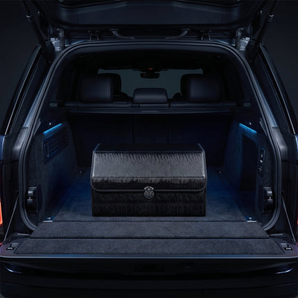 Collection image for: "Trunk Organizers"